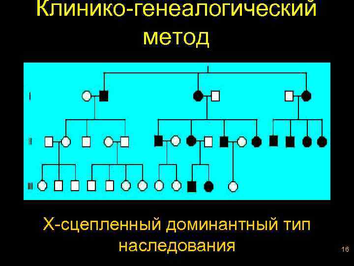 Клинико-генеалогический метод Х-сцепленный доминантный тип наследования 16 