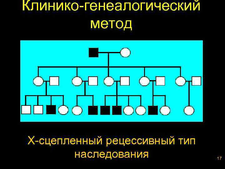 Клинико-генеалогический метод Х-сцепленный рецессивный тип наследования 17 