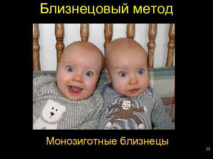 Близнецовый метод Монозиготные близнецы 25 