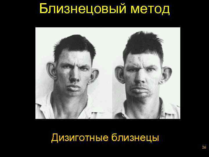 Близнецовый метод Дизиготные близнецы 26 