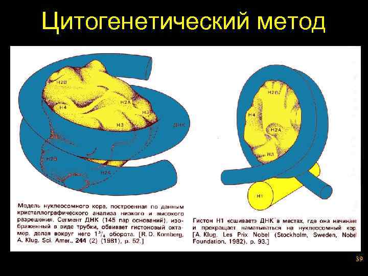 Цитогенетический метод 39 