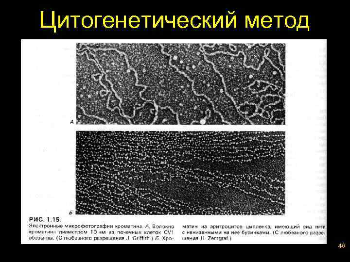 Цитогенетический метод 40 