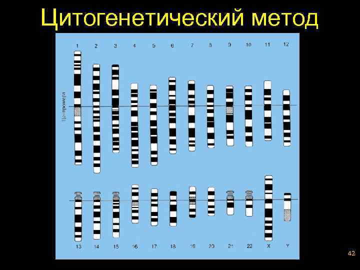 Цитогенетический метод 42 