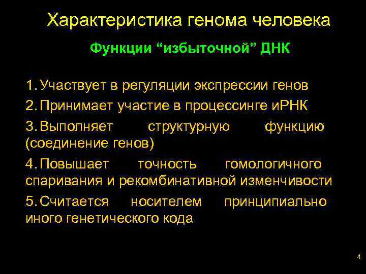 Характеристика генома человека Функции “избыточной” ДНК 1. Участвует в регуляции экспрессии генов 2. Принимает