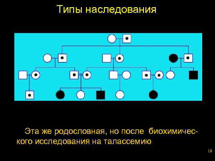 Типы наследования Эта же родословная, но после биохимического исследования на талассемию 18 