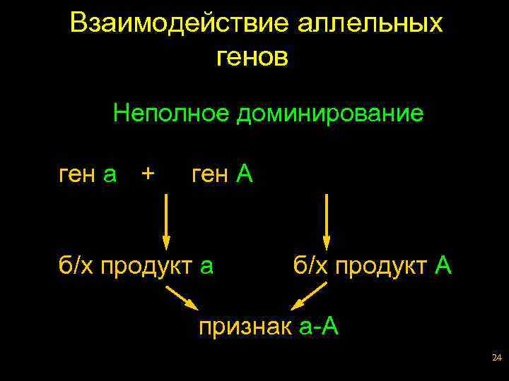 Взаимодействие аллельных генов Неполное доминирование ген a + ген A б/х продукт a б/х