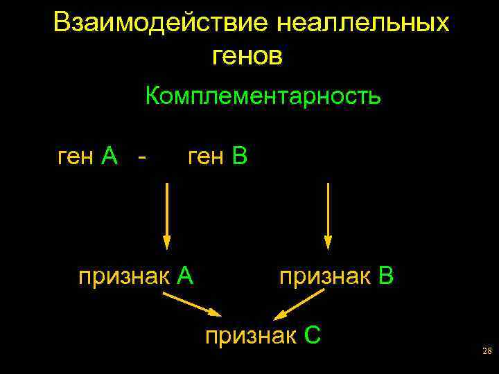 К признаки a b. Взаимодействие неаллельных генов. Понятие о неаллельных генах фото. Кодируемых двумя неаллельными генами.