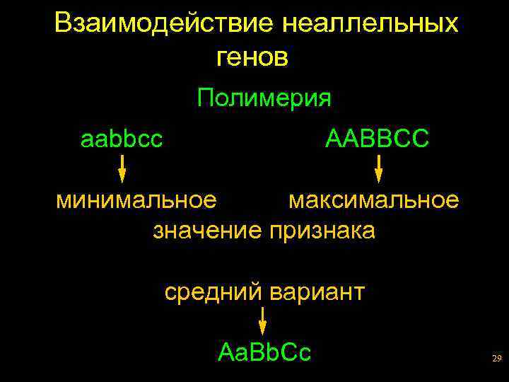 Взаимодействие неаллельных генов Полимерия aabbcc AABBCC минимальное максимальное значение признака средний вариант Aa. Bb.