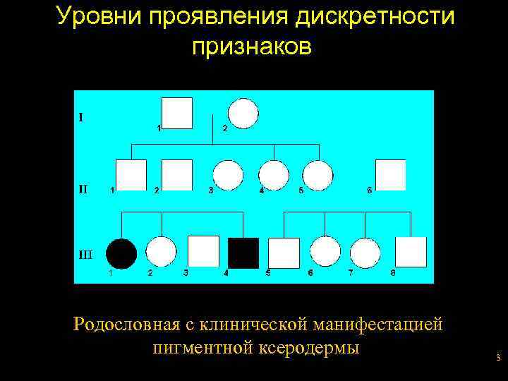 Уровни проявления дискретности признаков Родословная с клинической манифестацией пигментной ксеродермы 3 