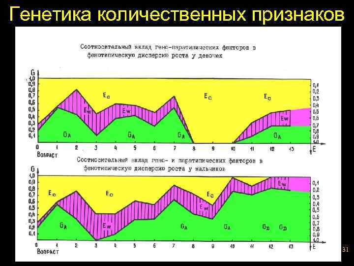 Генетика количественных признаков 31 