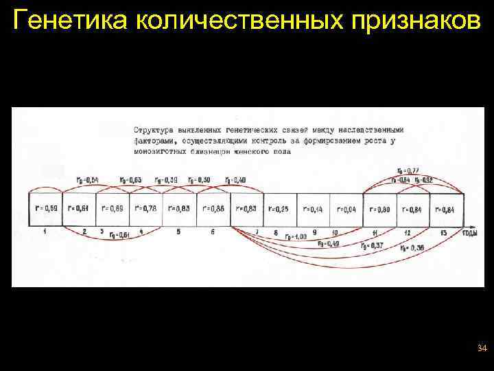 Генетика количественных признаков 34 