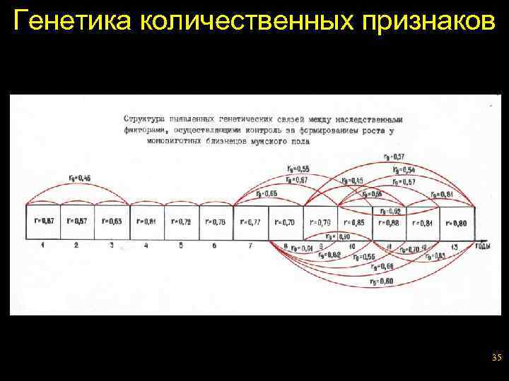 Генетика количественных признаков 35 