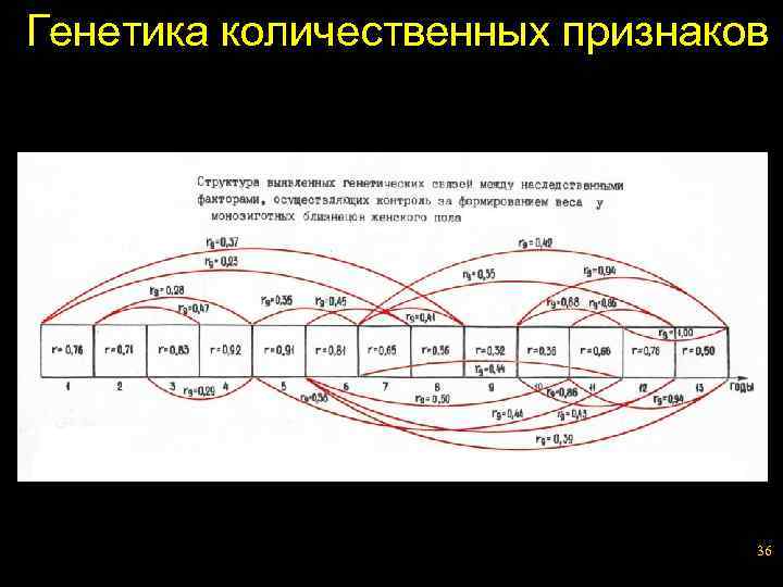 Генетика количественных признаков 36 
