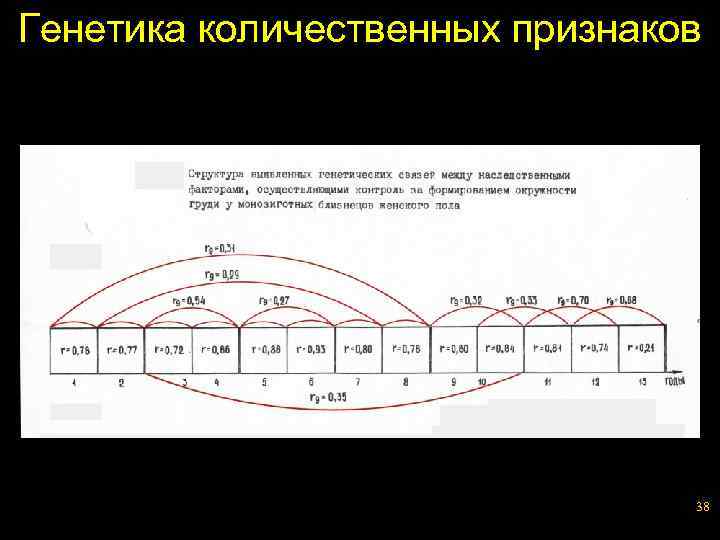 Генетика количественных признаков 38 