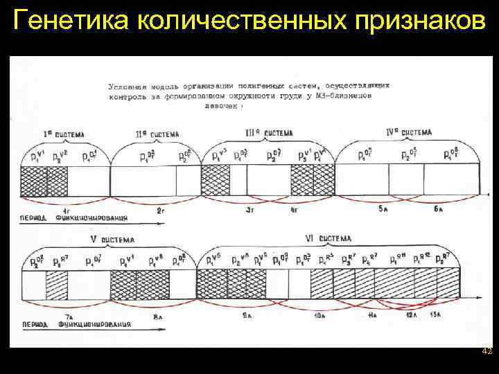 Генетика количественных признаков 42 