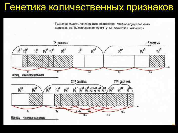 Генетика количественных признаков 43 