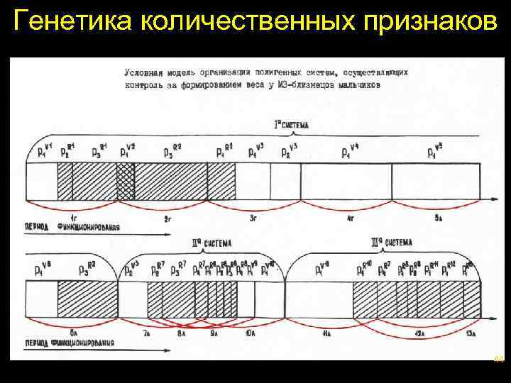 Генетика количественных признаков 44 