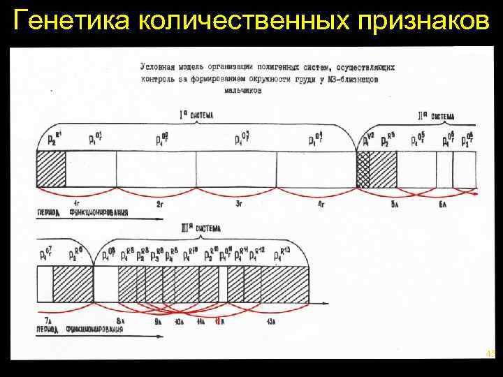 Генетика количественных признаков 45 