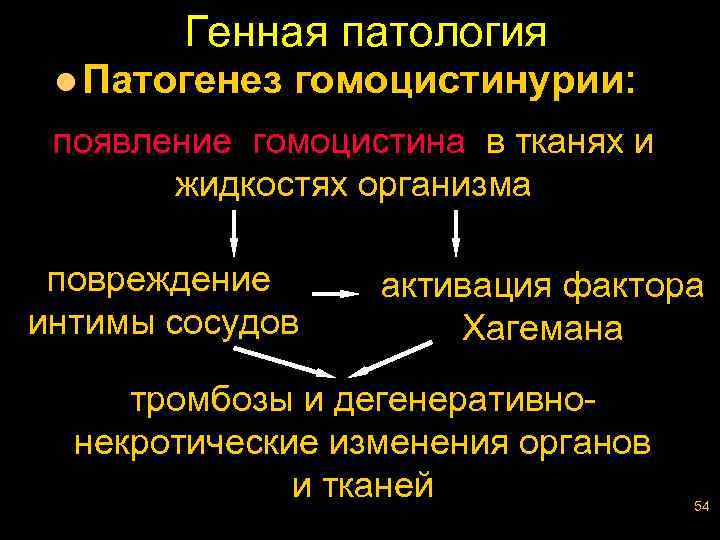 Генная патология l Патогенез гомоцистинурии: появление гомоцистина в тканях и жидкостях организма повреждение интимы