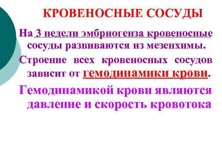 КРОВЕНОСНЫЕ СОСУДЫ На 3 недели эмбриогенза кровеносные сосуды развиваются из мезенхимы. Строение всех кровеносных