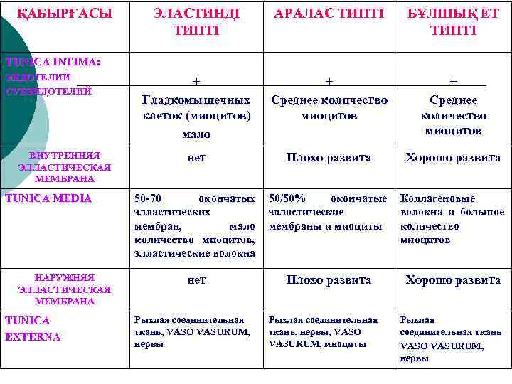 ҚАБЫРҒАСЫ ЭЛАСТИНДІ ТИПТІ АРАЛАС ТИПТІ БҰЛШЫҚ ЕТ ТИПТІ + Гладкомышечных клеток (миоцитов) мало +