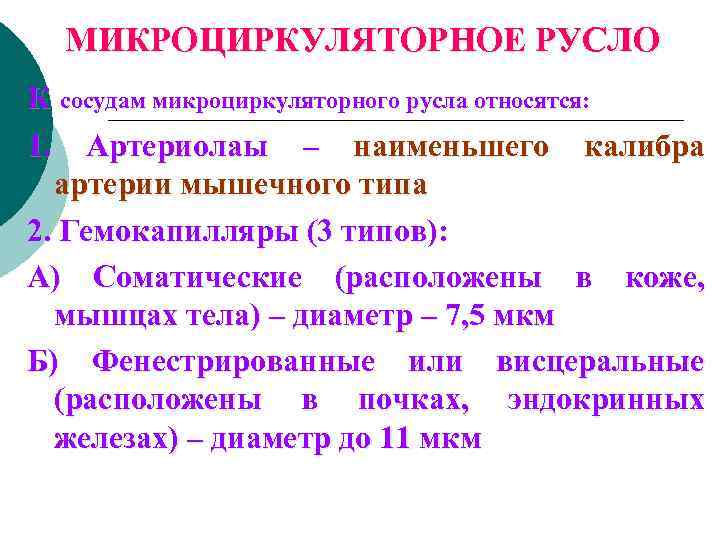 МИКРОЦИРКУЛЯТОРНОЕ РУСЛО К сосудам микроциркуляторного русла относятся: 1. Артериолаы – наименьшего калибра артерии мышечного