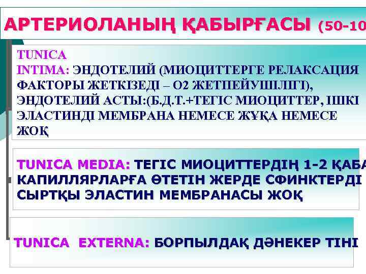 АРТЕРИОЛАНЫҢ ҚАБЫРҒАСЫ (50 -10 TUNICA INTIMA: ЭНДОТЕЛИЙ (МИОЦИТТЕРГЕ РЕЛАКСАЦИЯ ФАКТОРЫ ЖЕТКІЗЕДІ – О 2