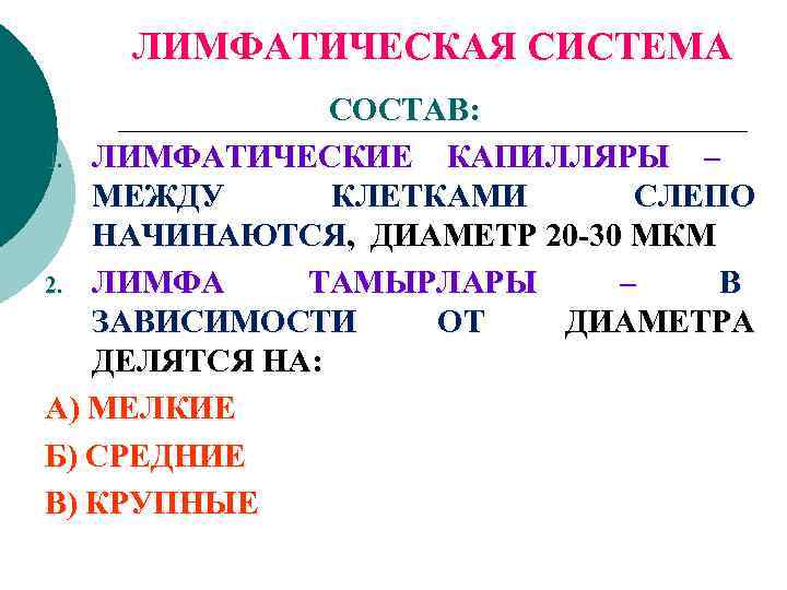 ЛИМФАТИЧЕСКАЯ СИСТЕМА СОСТАВ: 1. ЛИМФАТИЧЕСКИЕ КАПИЛЛЯРЫ – МЕЖДУ КЛЕТКАМИ СЛЕПО НАЧИНАЮТСЯ, ДИАМЕТР 20 -30