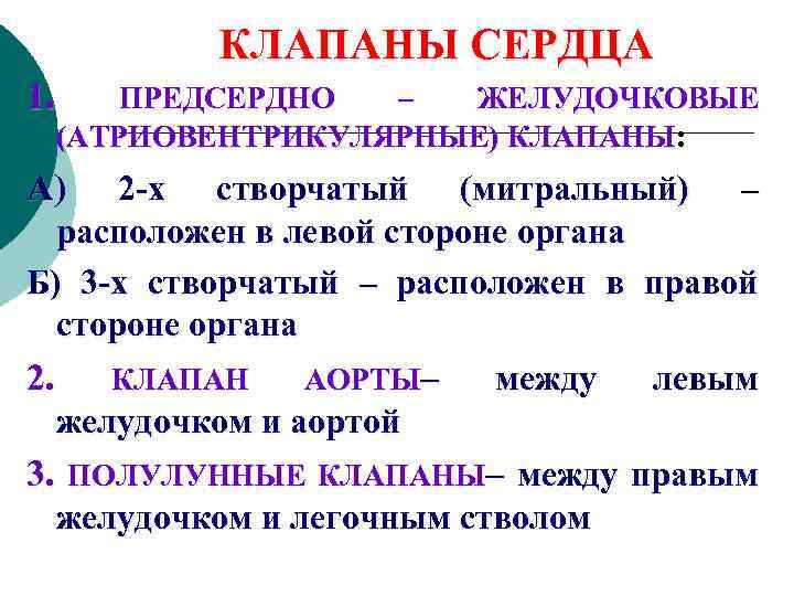 КЛАПАНЫ СЕРДЦА 1. ПРЕДСЕРДНО – ЖЕЛУДОЧКОВЫЕ (АТРИОВЕНТРИКУЛЯРНЫЕ) КЛАПАНЫ: А) 2 -х створчатый (митральный) –