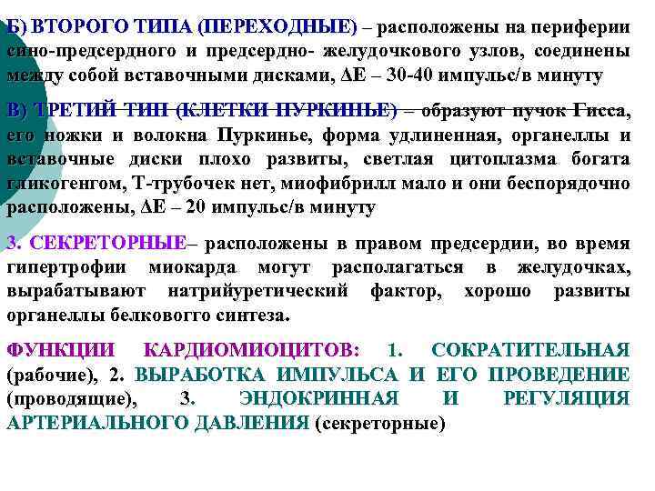Б) ВТОРОГО ТИПА (ПЕРЕХОДНЫЕ) – расположены на периферии сино-предсердного и предсердно- желудочкового узлов, соединены