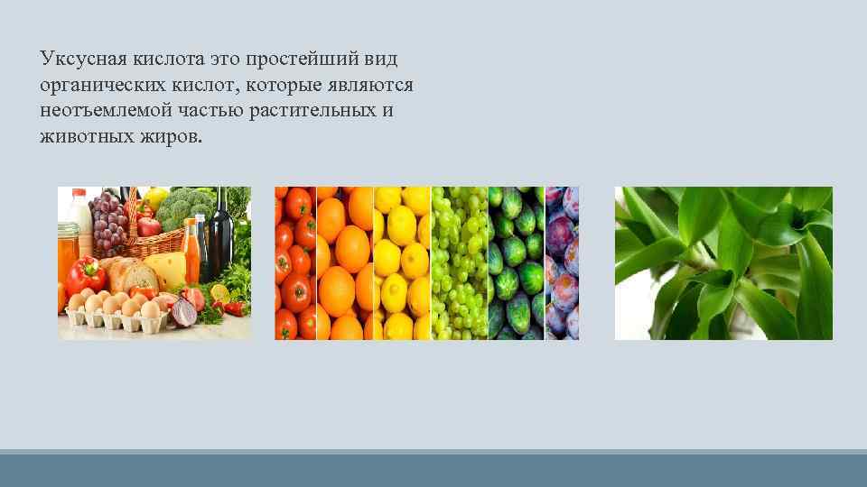 Уксусная кислота это простейший вид органических кислот, которые являются неотъемлемой частью растительных и животных