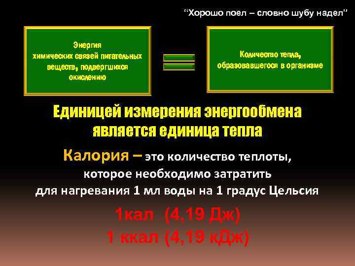 “Хорошо поел – словно шубу надел” Энергия химических связей питательных веществ, подвергшихся окислению Количество