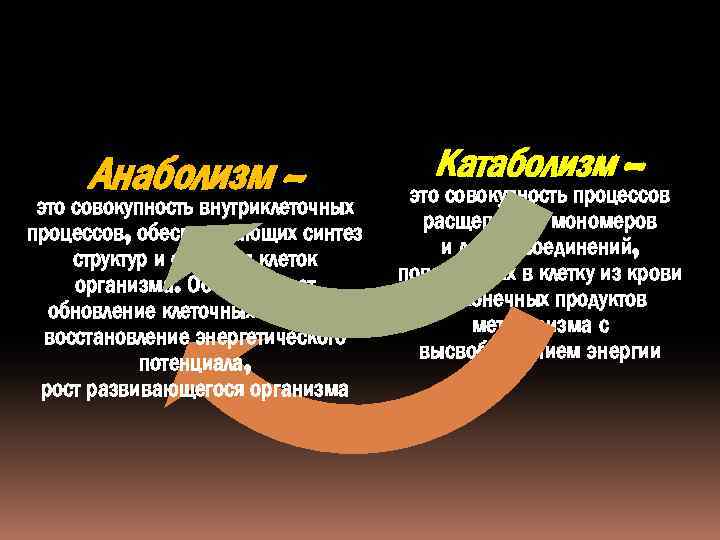 Анаболизм – это совокупность внутриклеточных процессов, обеспечивающих синтез структур и секретов клеток организма. Обеспечивает