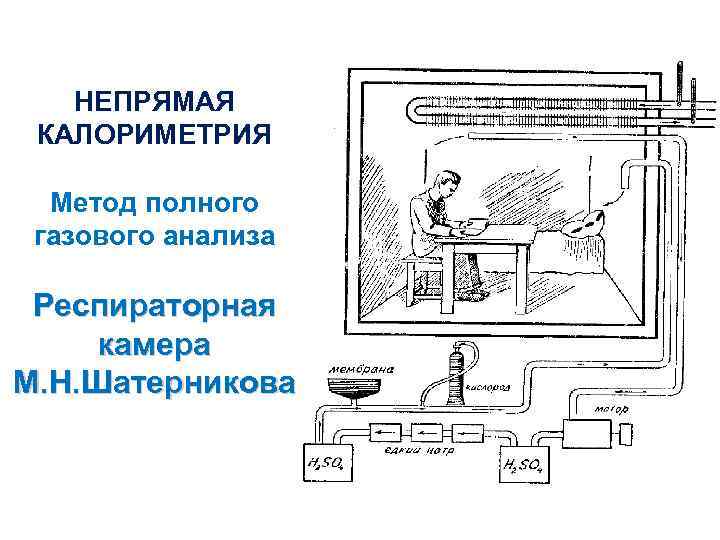 НЕПРЯМАЯ КАЛОРИМЕТРИЯ Метод полного газового анализа Респираторная камера М. Н. Шатерникова 