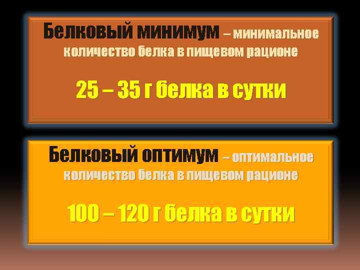 Белковый минимум – минимальное количество белка в пищевом рационе 25 – 35 г белка