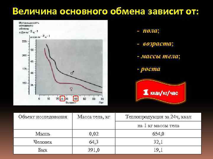 Величина основного обмена зависит от: - пола; - возраста; - массы тела; - роста