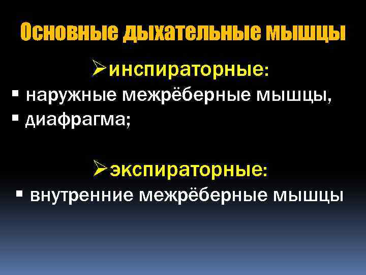 Основные дыхательные мышцы Øинспираторные: § наружные межрёберные мышцы, § диафрагма; Øэкспираторные: § внутренние межрёберные
