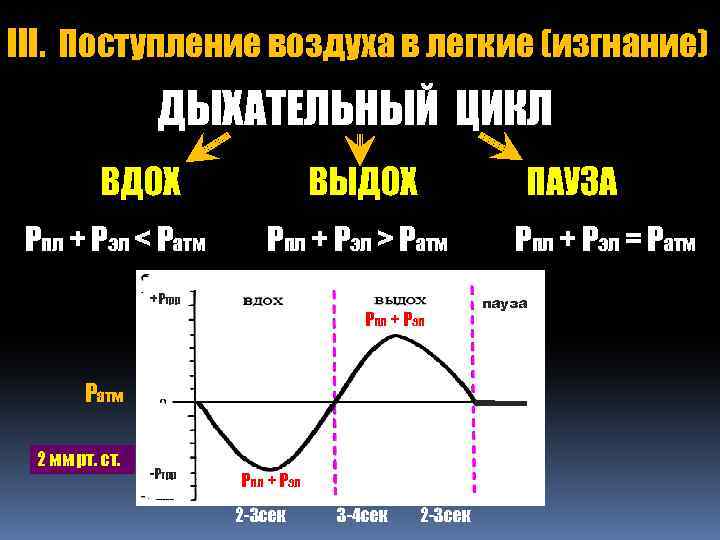 III. Поступление воздуха в легкие (изгнание) ДЫХАТЕЛЬНЫЙ ЦИКЛ ВДОХ Рпл + Рэл < Ратм