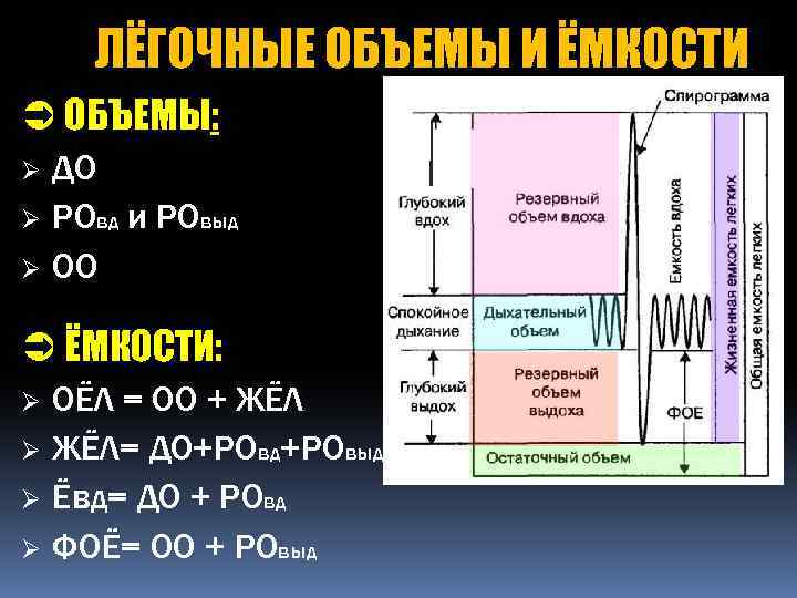 Легочные объемы схема