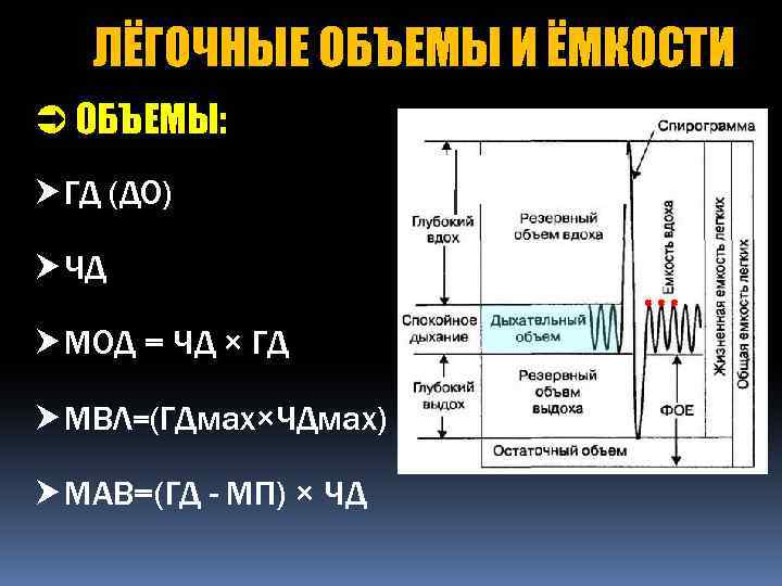 ЛЁГОЧНЫЕ ОБЪЕМЫ И ЁМКОСТИ Ü ОБЪЕМЫ: ГД (ДО) ЧД МОД = ЧД × ГД