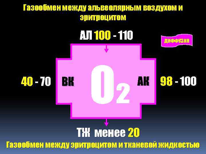 Газообмен между альвеолярным воздухом и эритроцитом АЛ 100 - 110 40 - 70 ВК