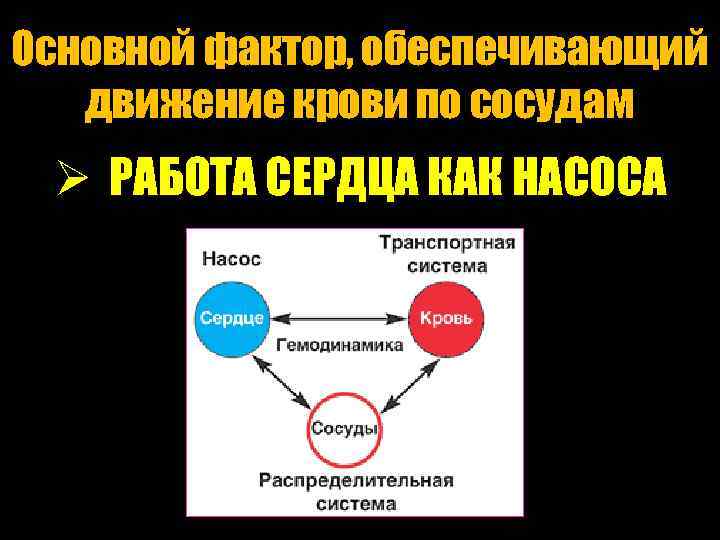Основной фактор, обеспечивающий движение крови по сосудам Ø РАБОТА СЕРДЦА КАК НАСОСА 