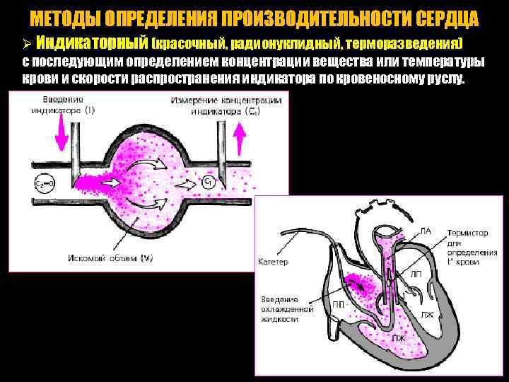 МЕТОДЫ ОПРЕДЕЛЕНИЯ ПРОИЗВОДИТЕЛЬНОСТИ СЕРДЦА Ø Индикаторный (красочный, радионуклидный, терморазведения) с последующим определением концентрации вещества
