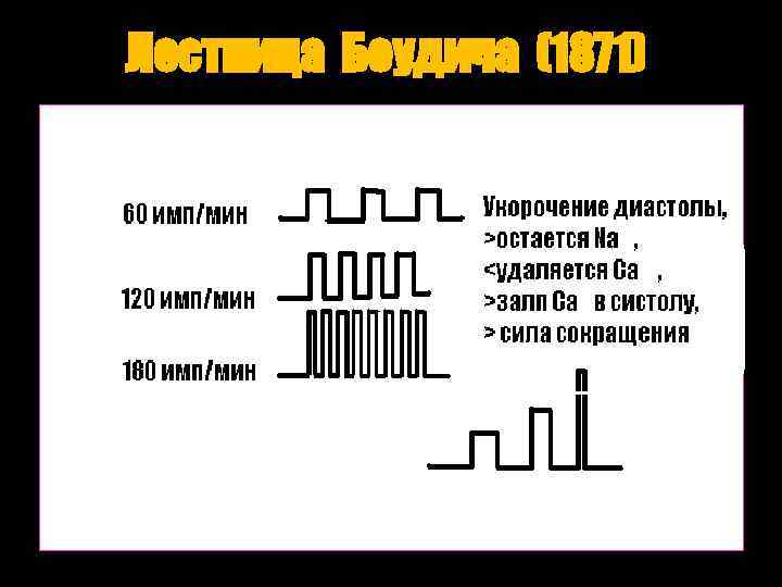 Лестница Боудича (1871) 