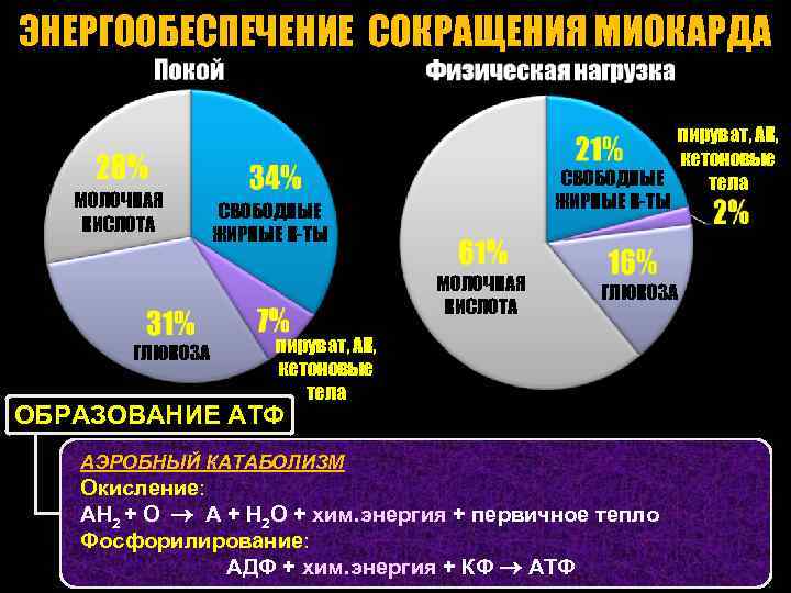 ЭНЕРГООБЕСПЕЧЕНИЕ СОКРАЩЕНИЯ МИОКАРДА МОЛОЧНАЯ КИСЛОТА пируват, АК, кетоновые СВОБОДНЫЕ тела ЖИРНЫЕ К-ТЫ СВОБОДНЫЕ ЖИРНЫЕ