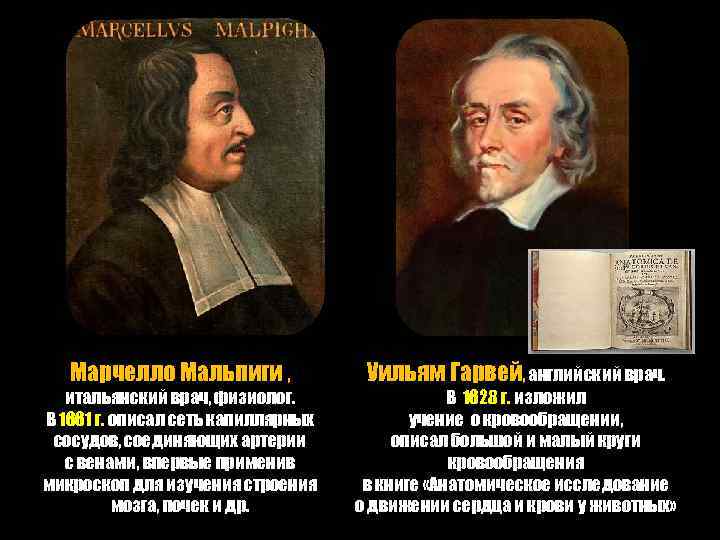 Открыл волокна миокарда, образующие проводящую систему сердца (пучок Пуркине). Марчелло Мальпиги , итальянский врач,