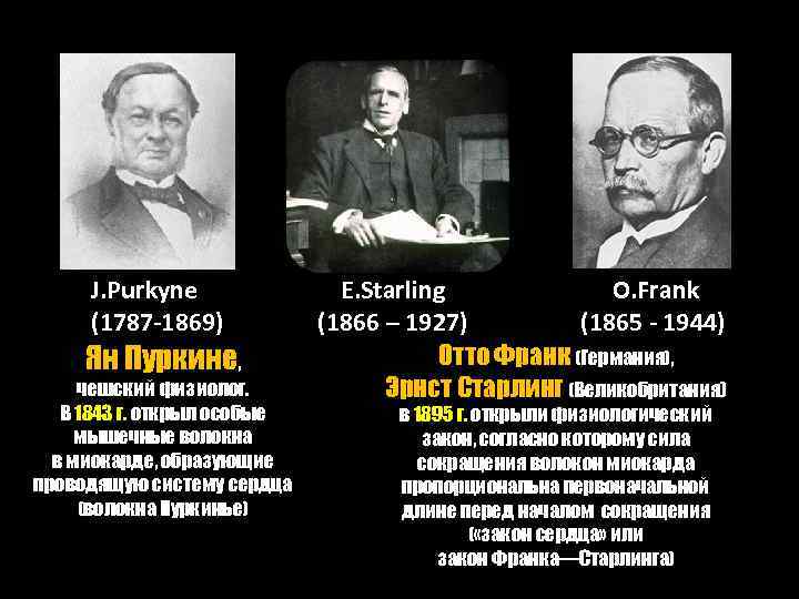 Открыл волокна миокарда, образующие проводящую систему сердца (пучок Пуркине). J. Purkyne (1787 -1869) Ян