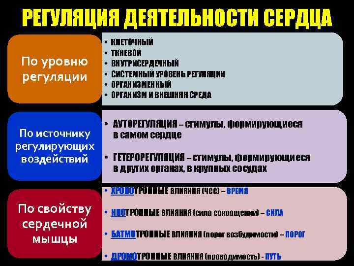 РЕГУЛЯЦИЯ ДЕЯТЕЛЬНОСТИ СЕРДЦА По уровню регуляции • • • КЛЕТОЧНЫЙ ТКНЕВОЙ ВНУТРИСЕРДЕЧНЫЙ СИСТЕМНЫЙ УРОВЕНЬ