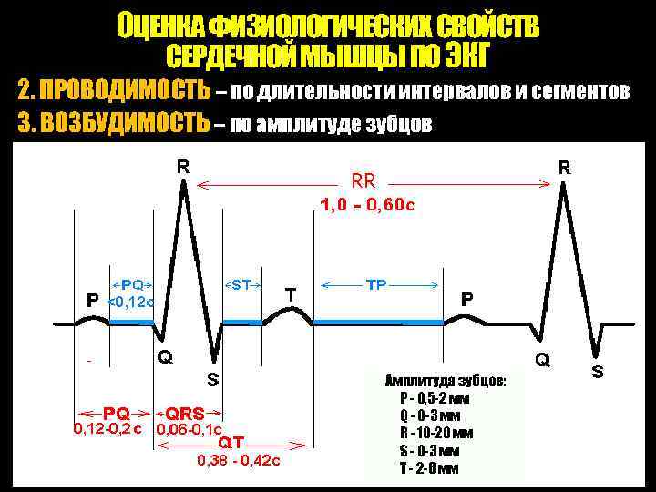 ОЦЕНКА ФИЗИОЛОГИЧЕСКИХ СВОЙСТВ СЕРДЕЧНОЙ МЫШЦЫ ПО ЭКГ 2. ПРОВОДИМОСТЬ – по длительности интервалов и