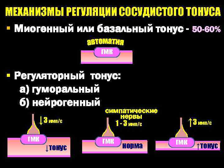 МЕХАНИЗМЫ РЕГУЛЯЦИИ СОСУДИСТОГО ТОНУСА § Миогенный или базальный тонус - 50 -60% гмк §